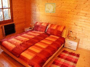 Holiday apartment in a wooden chalet in Liebenfels  Carinthia near the ski area