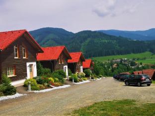 Holiday home in Gaal im Murtal with a terrace